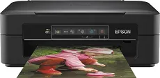 Driver Epson Expression Home XP-245
