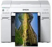 Driver Epson SureLab D870